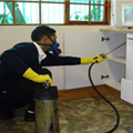 Pest Control Services in Kochi