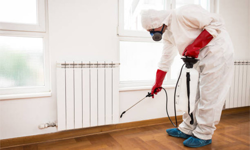 Pest Control Services in Trivandrum