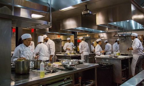 Pest Control Services in Trivandrum